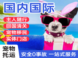 杭州航空空运国际宠物托运 【国